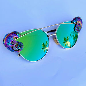 Chameleon Sunglasses