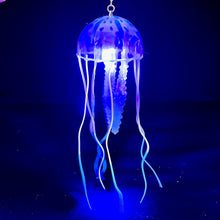 Jellyfish Earrings